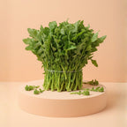 Cime di rapa fresche raccolte a mano nel cuore del Molise da un produttore locale.