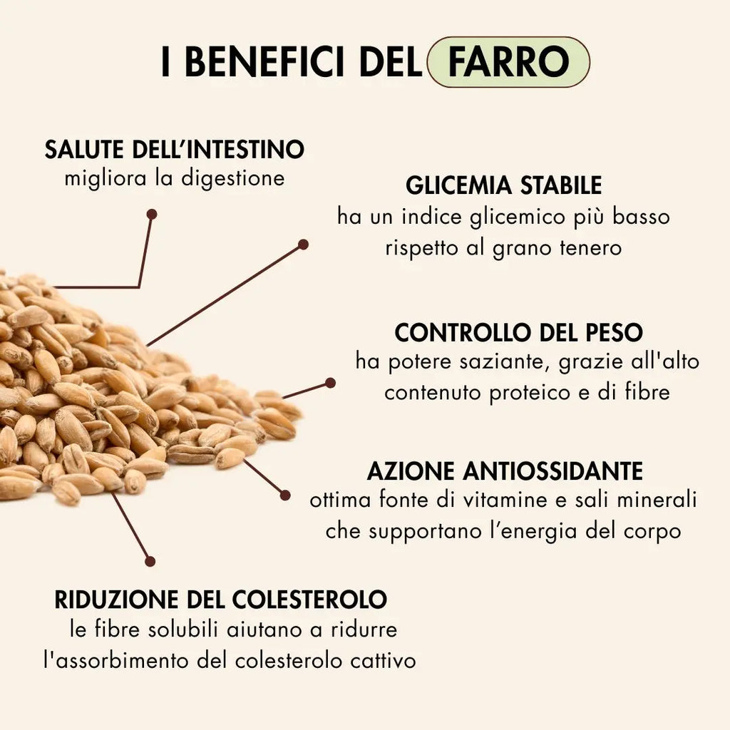 il farro migliora la digestione, stabilizza la glicemia, aiuta a controllare il peso, ha un'azione antiossidante e aiuta a ridurre il colesterolo cattivo