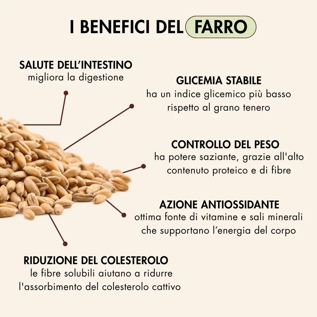 il farro migliora la digestione, stabilizza la glicemia, aiuta a controllare il peso, ha un'azione antiossidante e aiuta a ridurre il colesterolo cattivo
