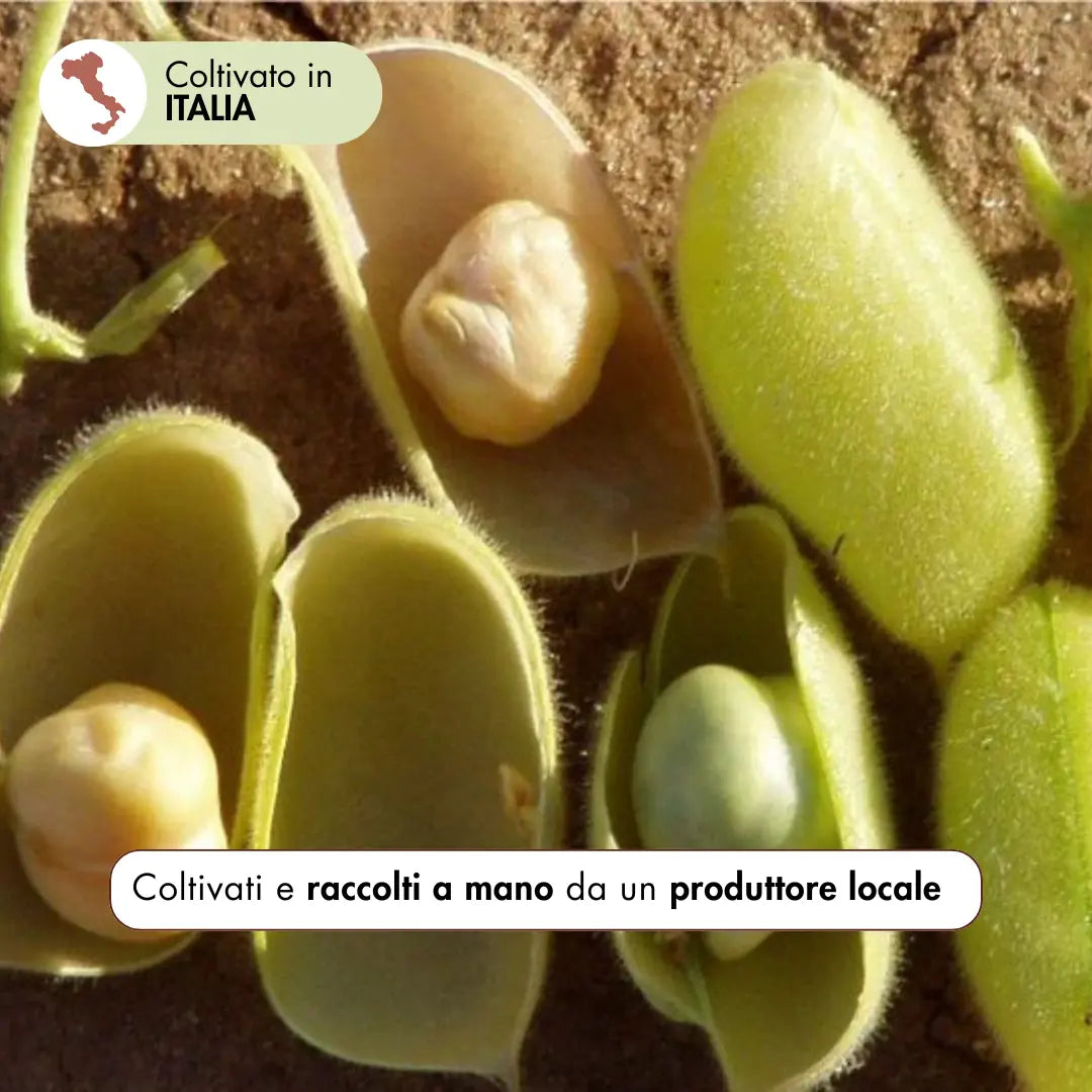 la nostra farina di ceci è realizzata con ceci raccolti a mano da un produttore locale nel cuore del Molise