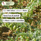 farina di ceci realizzata con ceci 100% italiani, coltivati senza l'uso di pesticidi e raccolti in Molise. La filiera è corta e controllata