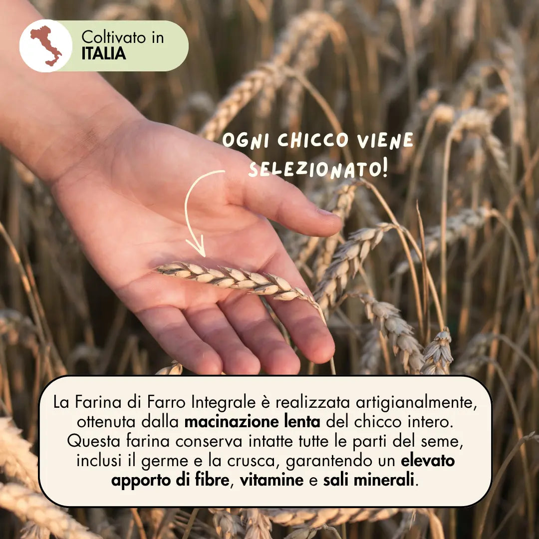 La farina di farro integrale è realizzata artigianalmente, ottenuta dalla macinazione lenta del chicco intero selezionato. Questa farina conserva intatte tutte le parti del seme, inclusi il germe e la crusca, garantendo un elevato apporto di fibre, vitamine e sali minerali.
