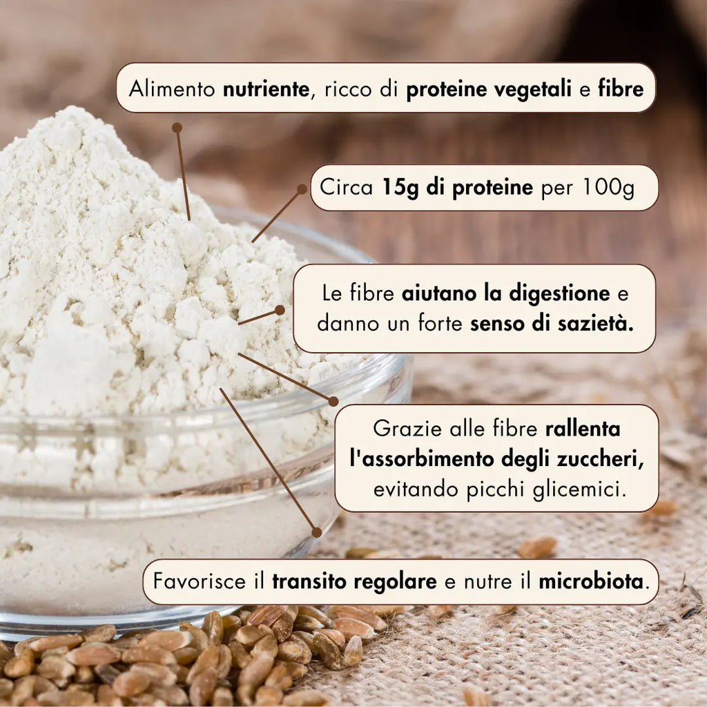 la farina di farro integrale è un alimento ricco di nutrienti, proteine vegetali e fibre. Contiene circa 15g di proteine per 100g, le fibre aiutano la digestione e danno un forte senso di sazietà. Grazie alle fibre, rallenta l'assorbimento degli zuccheri evitando picchi glicemici. Inoltre, favorisce il transito regolare e nutre il microbiota.