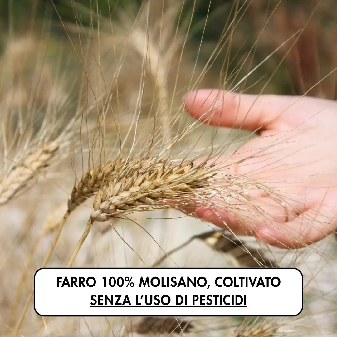 farro 100% molisano, coltivato senza l'uso di pesticidi