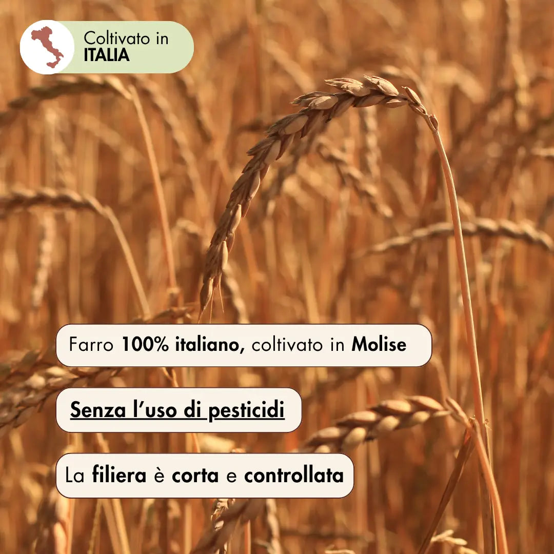 la farina di farro integrale è realizzata con farro 100% italiano, coltivato in Molise senza l'uso di pesticidi, da filiera corta e controllata.
