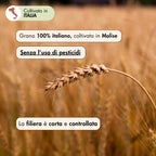 farina di grano saraceno, grano 100% italiano, coltivato in Molise senza l'uso di pesticidi. La filiera è corta e controllata.