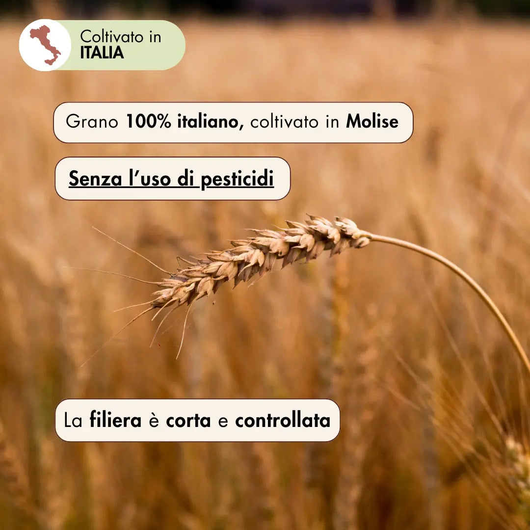 farina di grano saraceno, grano 100% italiano, coltivato in Molise senza l'uso di pesticidi. La filiera è corta e controllata.