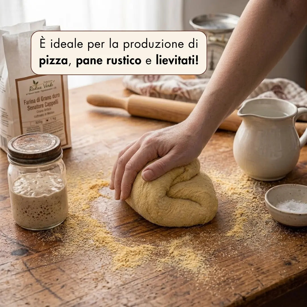 Senatore Cappelli durum wheat flour - 1kg