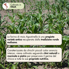 La farina di mais agostinello è una pregiata varietà antica recuperata dalla tradizione rurale molisana. Caratterizzata da chicchi piccoli color arancio intenso, viene coltivata seguendo ritmi naturali e macinata a pietra, per preservare il germe del chicco e tutte le sue proprietà.