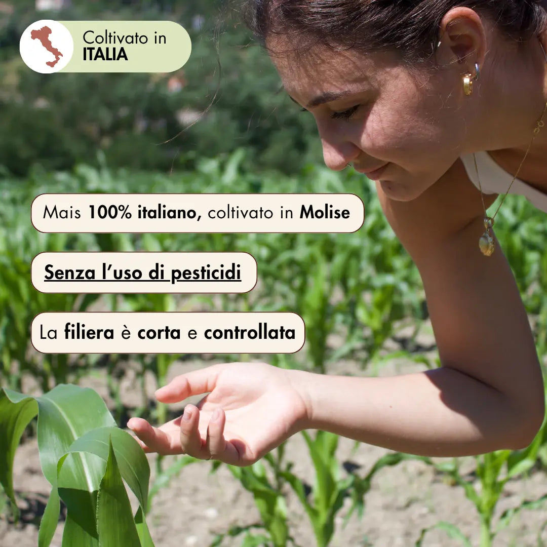 Per realizzare la farina di mais agostinello usiamo Mais 100%  italiano, coltivato in Molise senza l'uso di pesticidi. La filiera è corta e controllata.