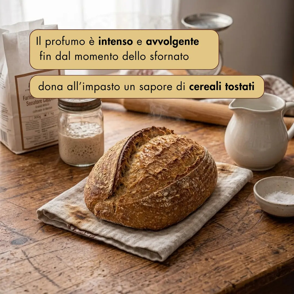 Farina di grano duro Senatore Cappelli - 1kg