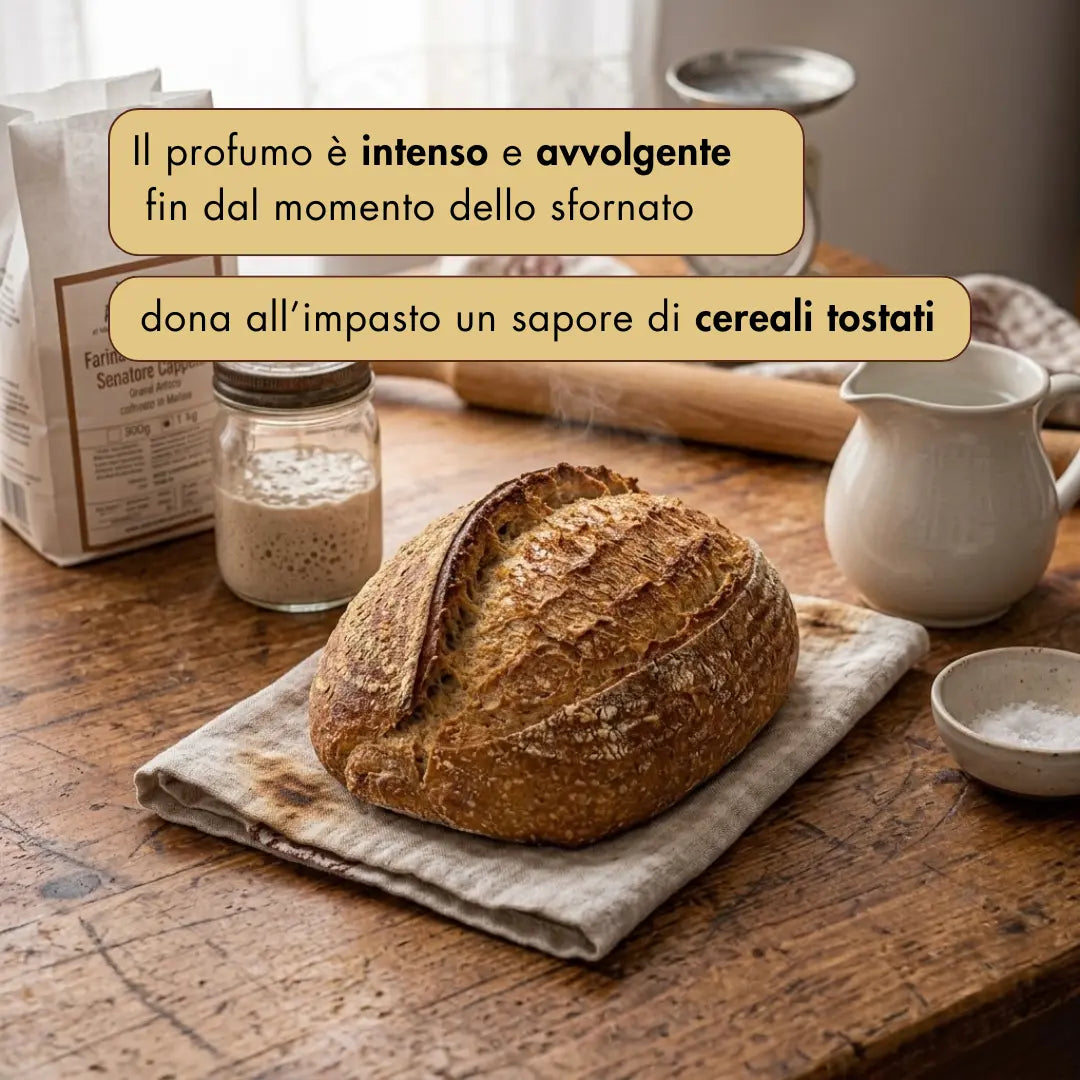 Farina di grano duro Senatore Cappelli - 1kg