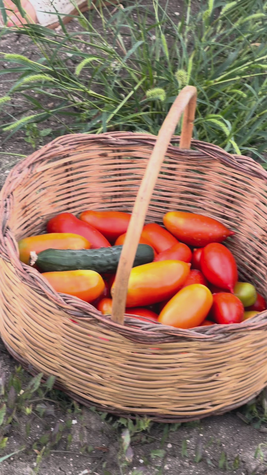 scegliamo solo produttori locali italiani che lavorano la materia prima seguendo le stagioni 
