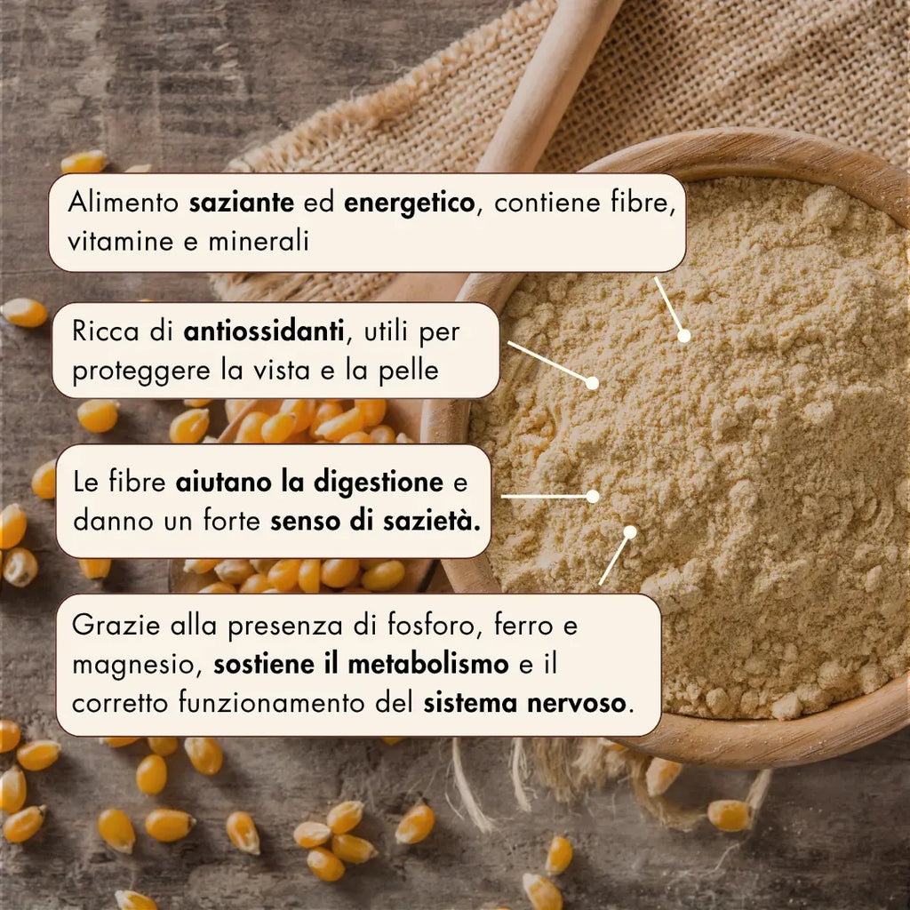La farina di mais Agostinello è un alimento saziante ed energetico, contiene fibre, vitamine e minerali. È ricca di antiossidanti, utili per proteggere la vista e la pelle. Le fibre della farina di mais aiutano la digestione e danno un forte senso di sazietà. Grazie alla presenza di fosforo, ferro e magnesio, la farina di mais agostinello sostiene il metabolismo e il corretto funzionamento del sistema nervoso.