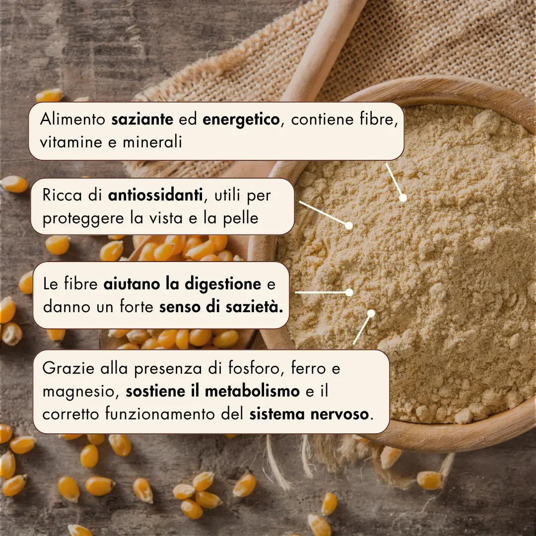 La farina di mais Agostinello è un alimento saziante ed energetico, contiene fibre, vitamine e minerali. È ricca di antiossidanti, utili per proteggere la vista e la pelle. Le fibre della farina di mais aiutano la digestione e danno un forte senso di sazietà. Grazie alla presenza di fosforo, ferro e magnesio, la farina di mais agostinello sostiene il metabolismo e il corretto funzionamento del sistema nervoso.