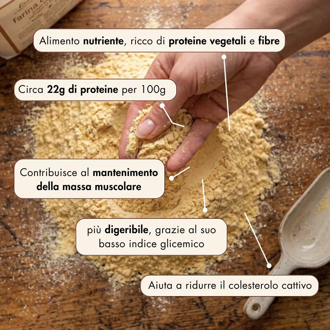 la nostra farina di ceci è ricca di proprietà nutritive:
è nutriente, ricca di proteine vegetali e fibre;
contiene circa 22g di proteine per 100g;
contribuisce al mantenimento della massa muscolare;
è più digeribile, grazie al suo basso indice glicemico;
aiuta a ridurre il colesterolo cattivo.